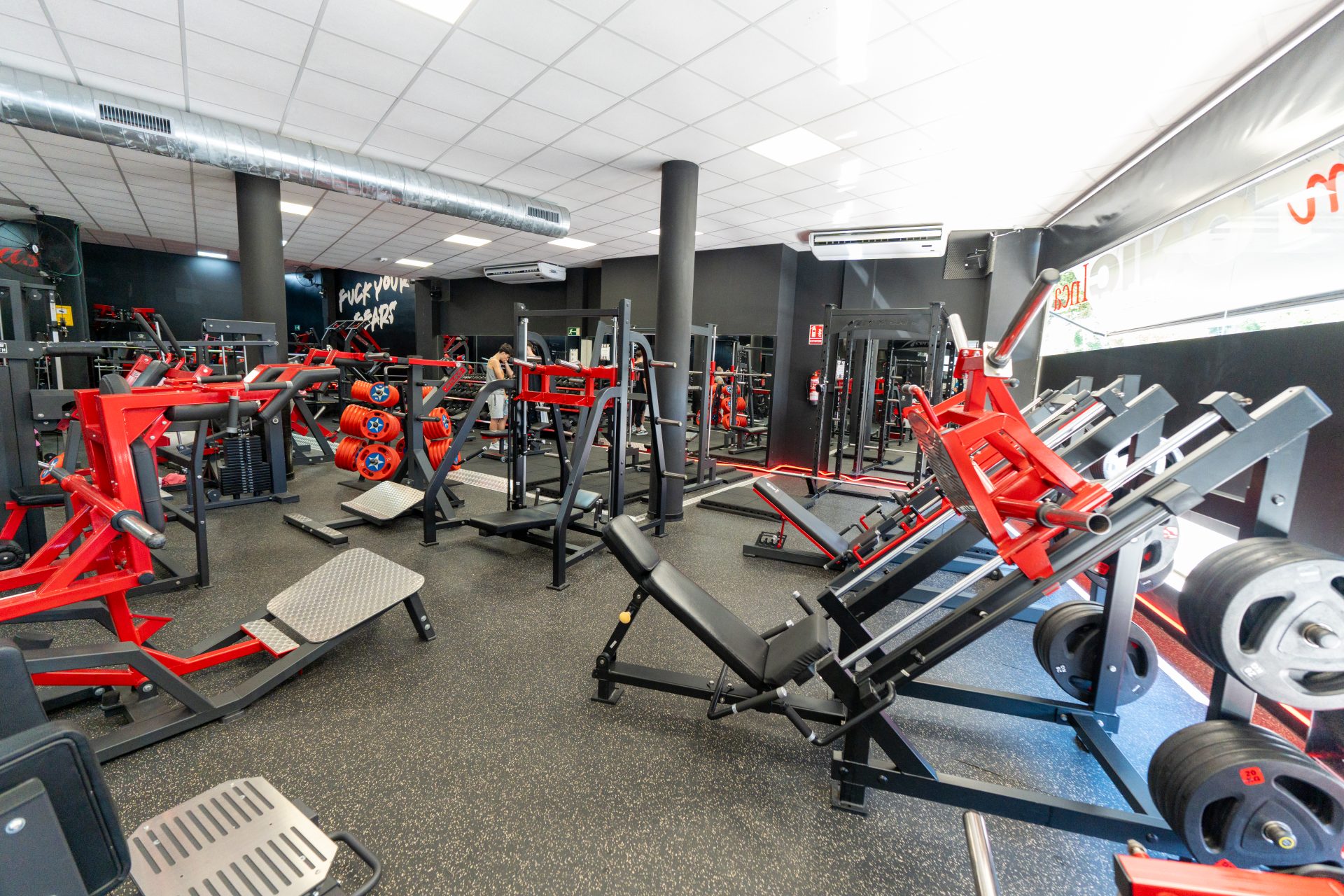 Gym Tonic – Mallorca — preview